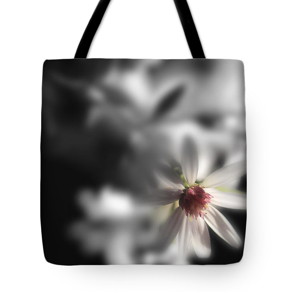 Aster Flowers Tote Bag featuring the photograph I'm Always With You by Mike Eingle