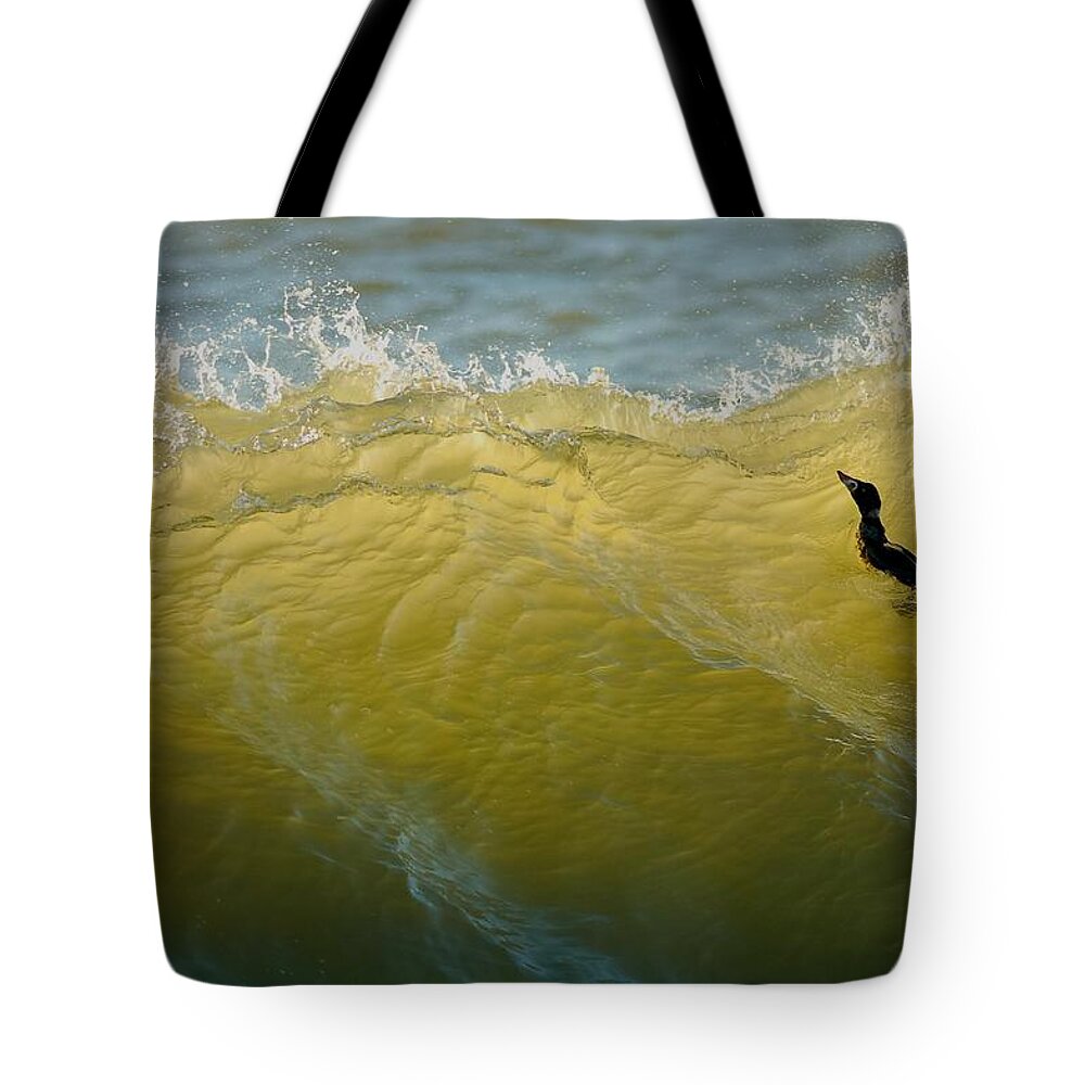 Colors: Deep Blue Tote Bag featuring the photograph I'm Invigorated by Sherry Clark