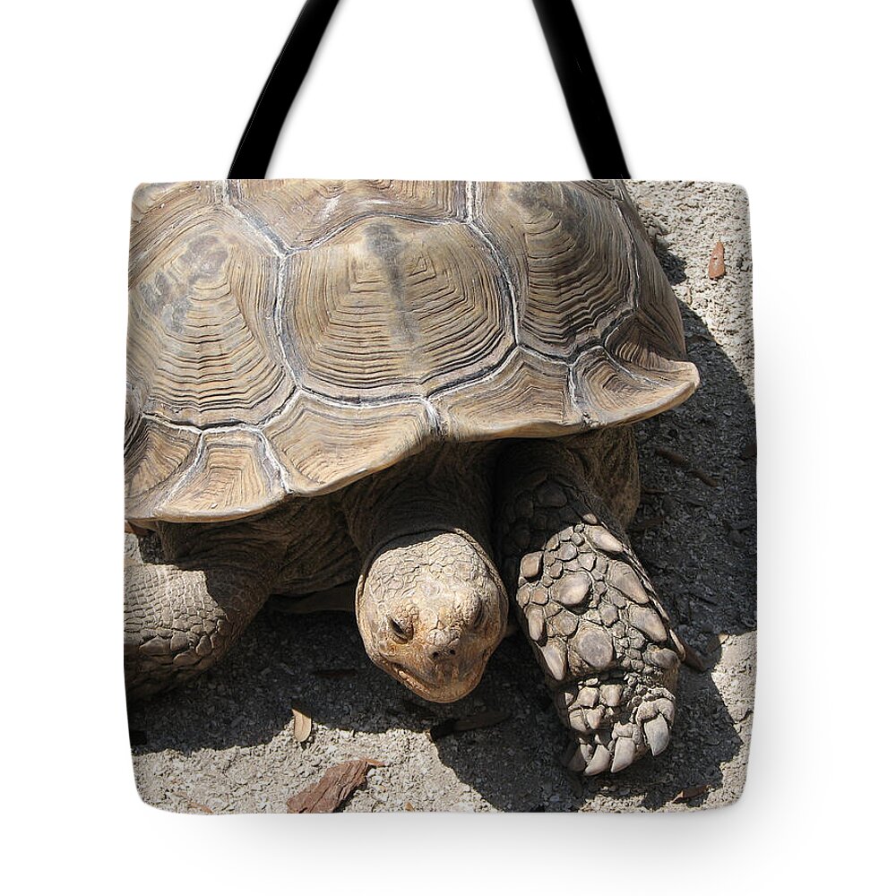 Turtle Tote Bag featuring the photograph Im Moving by Creative Solutions RipdNTorn