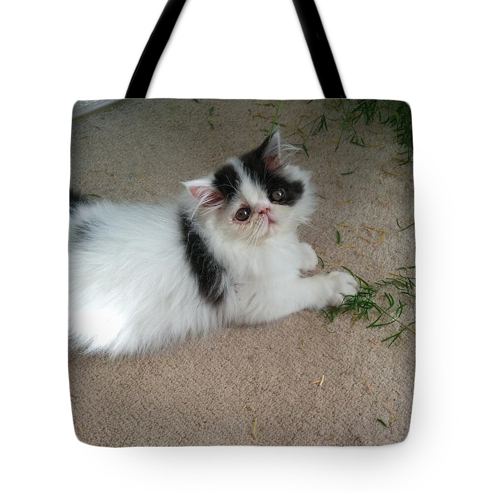 Innocent Tote Bag featuring the photograph I'm Not Doing Anything by Richard De Wolfe