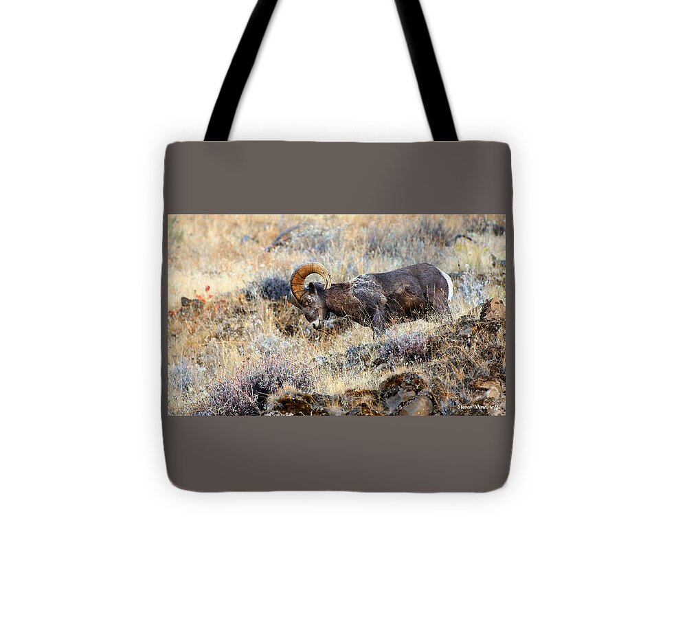 Oregon Tote Bag featuring the photograph I'm Still Com'n For You by Steve Warnstaff