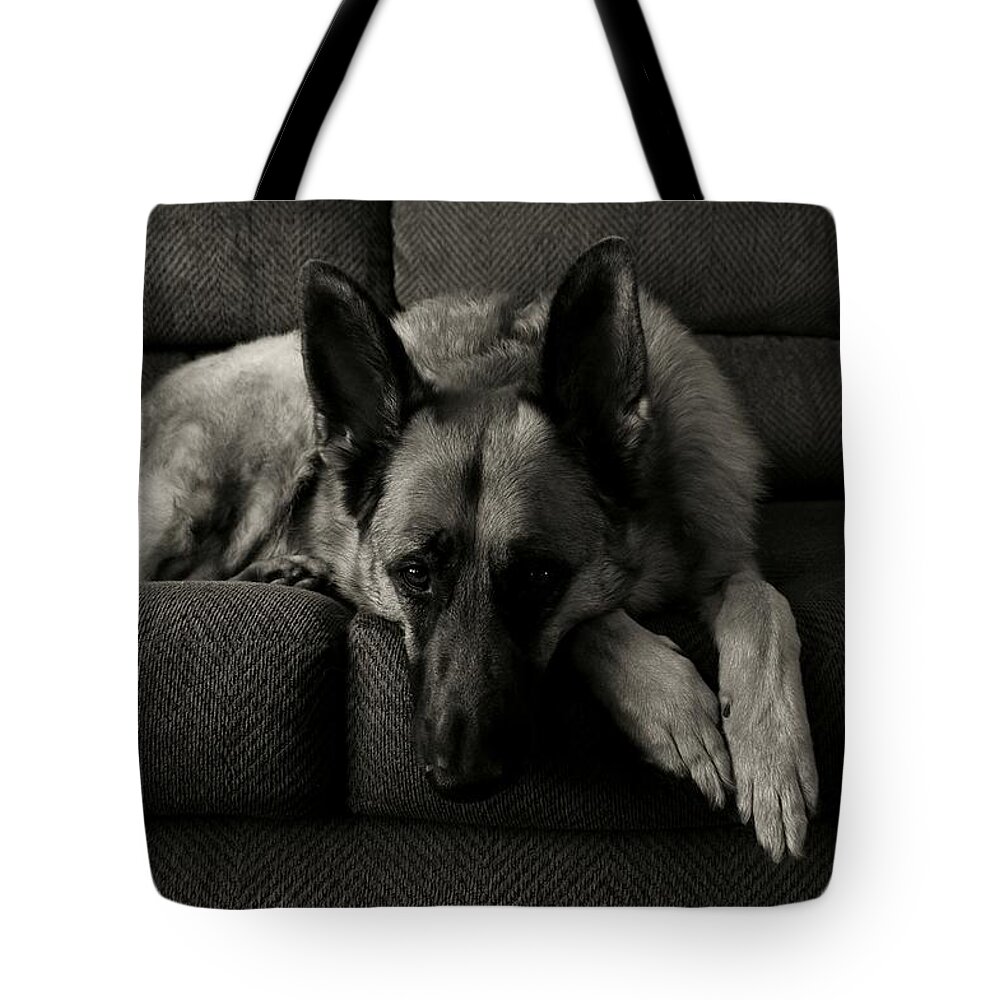 German Shepherd Dogs Tote Bag featuring the photograph I'm Waiting For You by Angie Tirado