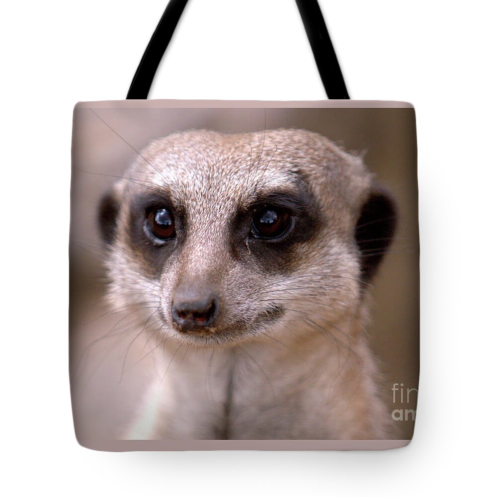Animal. Meerkat Tote Bag featuring the photograph Im Watching You by Baggieoldboy