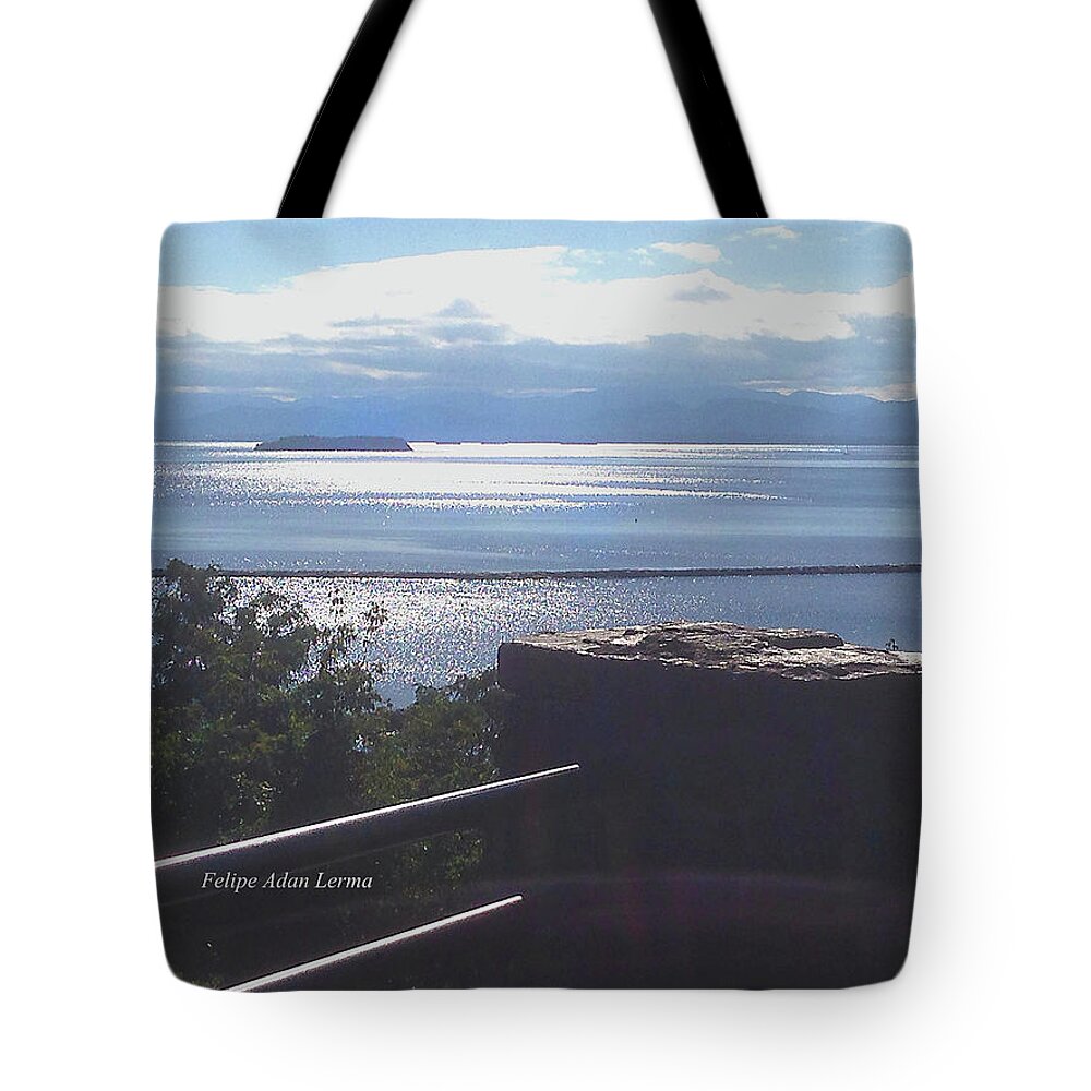 Novel Tote Bag featuring the photograph Image Included in Queen the Novel - Outlook Point Battery Park Vermont Enhanced by Felipe Adan Lerma