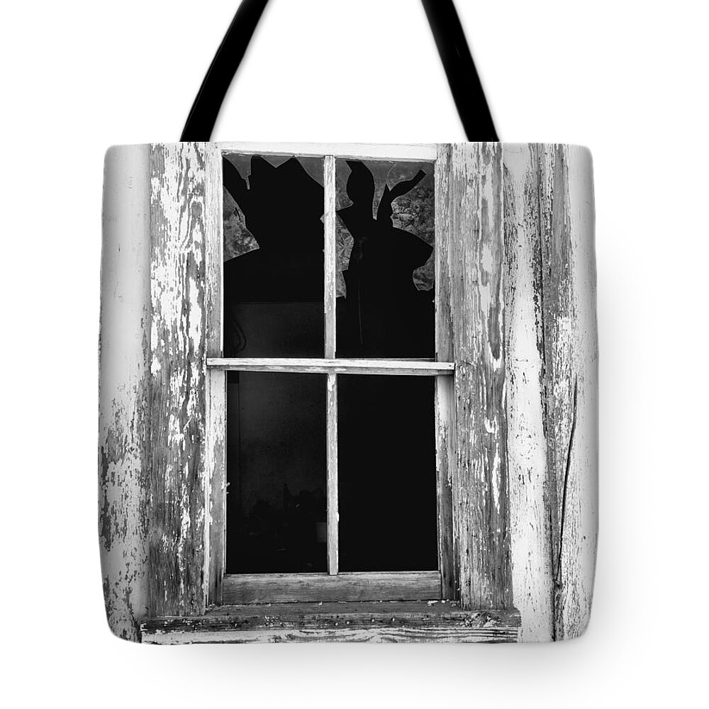 Broken Glass Tote Bag featuring the photograph Imagination by Brad Hodges