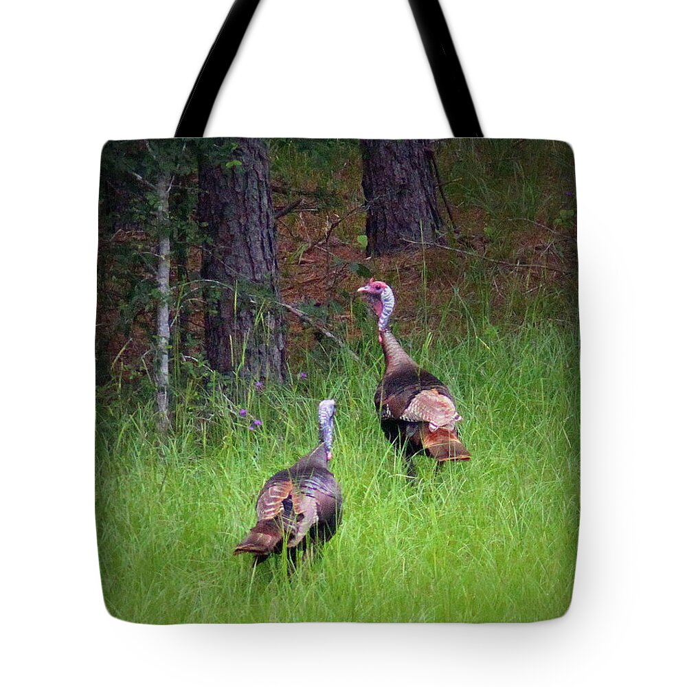 Wild Turkey Tote Bag featuring the photograph IMG_1140-004 - Wild Turkey by Travis Truelove