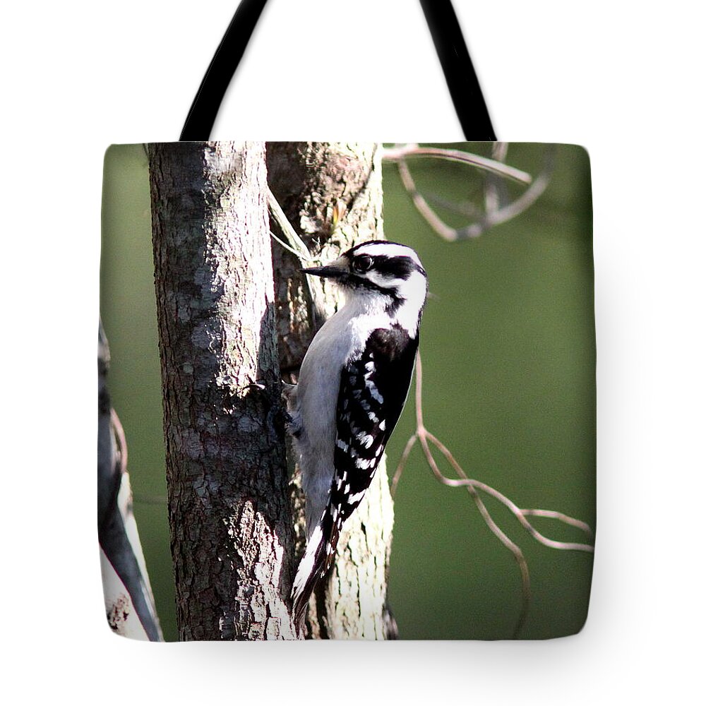 Downy Woodpecker Tote Bag featuring the photograph IMG_2175-004 - Downy Woodpecker by Travis Truelove