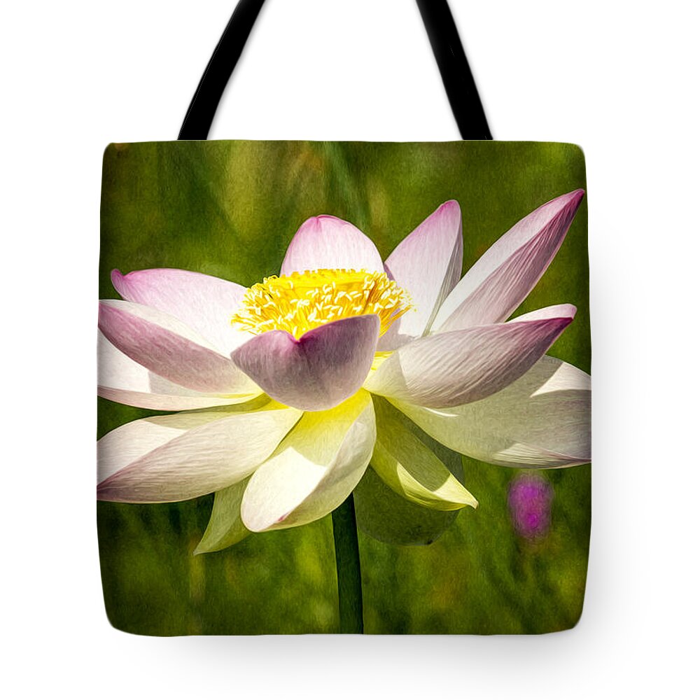 Art Tote Bag featuring the photograph Impression Of A Lotus by Edward Kreis