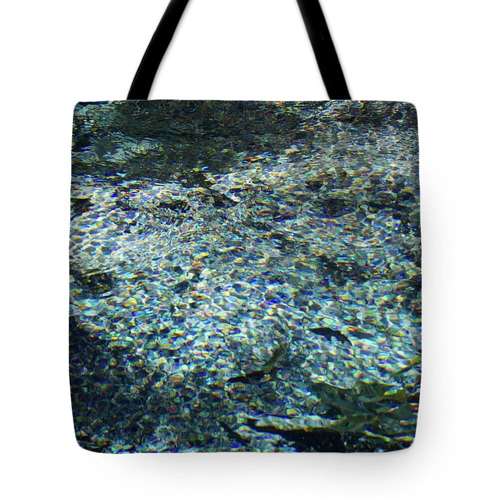 Spring Tote Bag featuring the photograph Impression of Cannon Springs by Paul Rebmann