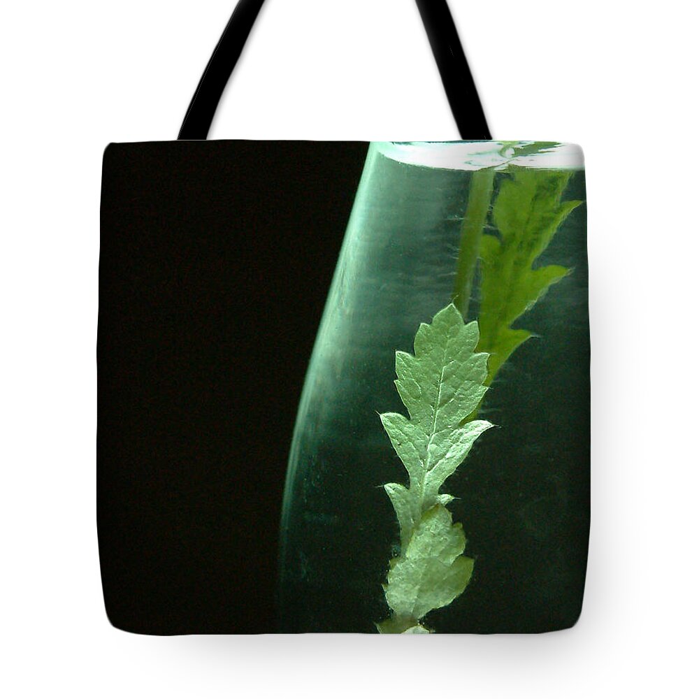 Kitchen Tote Bag featuring the photograph In a bottle by Thomas Pipia