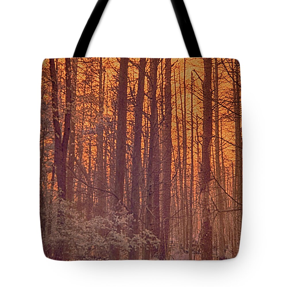 Light Tote Bag featuring the photograph Home of the Jersey Devil by Jim Cook