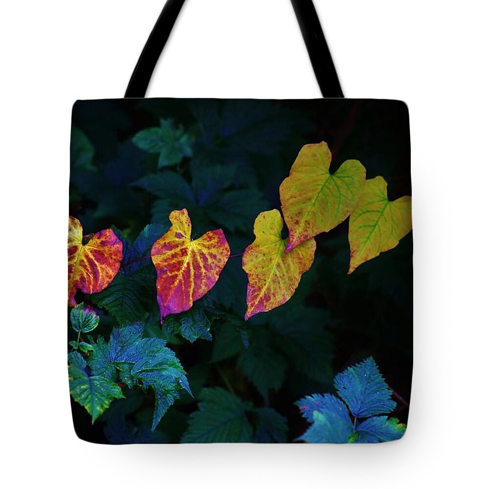 Autumn Tote Bag featuring the photograph In Autumn's Light by Craig Wood