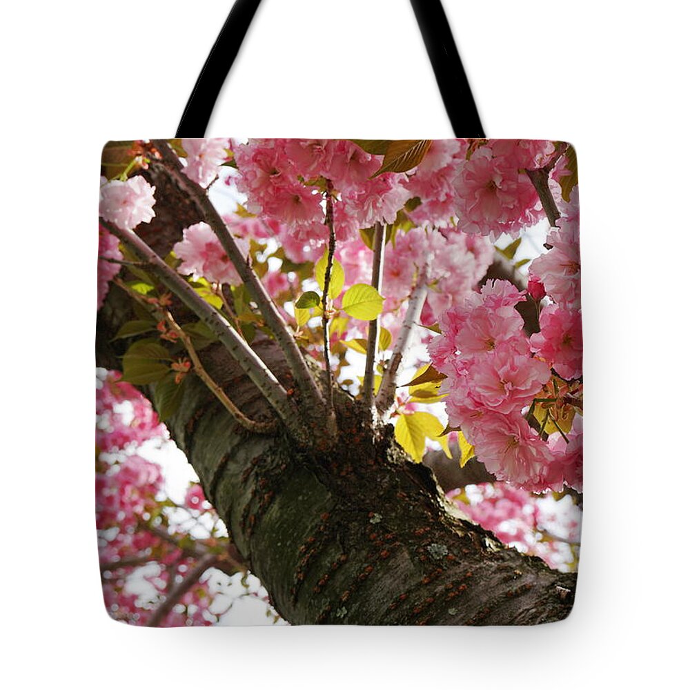 Flowers Tote Bag featuring the photograph In Bloom by Christopher Brown