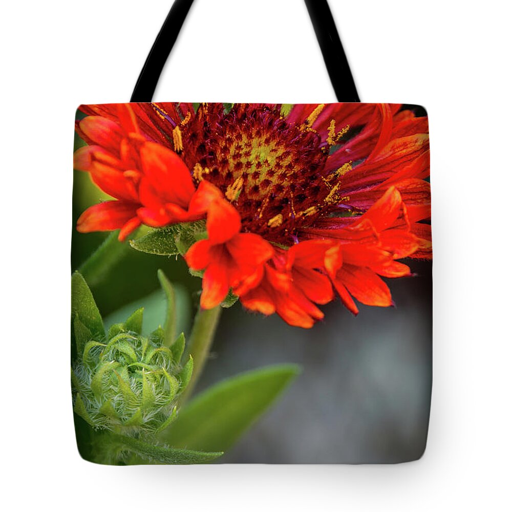 Green Tote Bag featuring the photograph In Bloom by Deborah Klubertanz