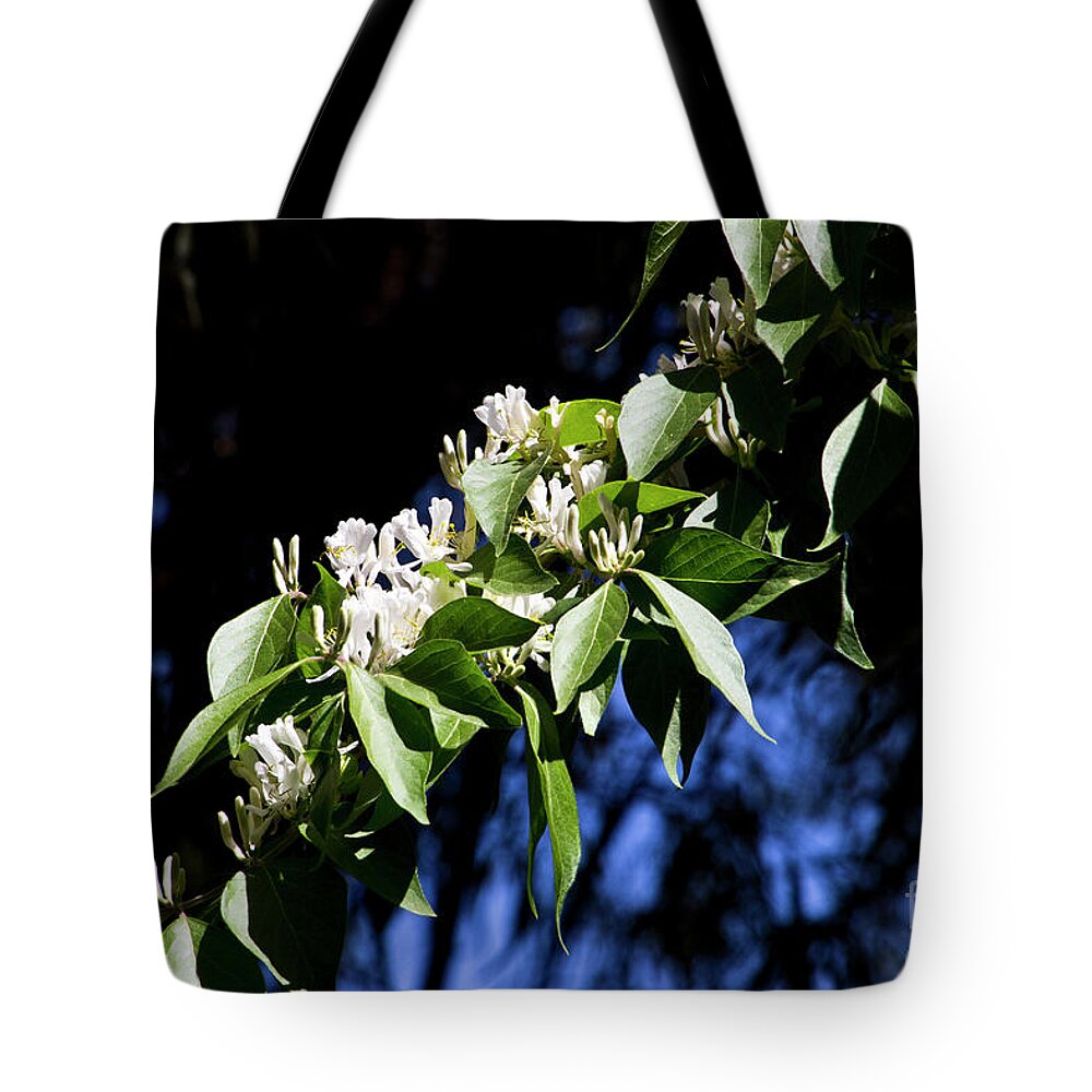 Spring Tote Bag featuring the photograph In Bloom by Kathy McClure