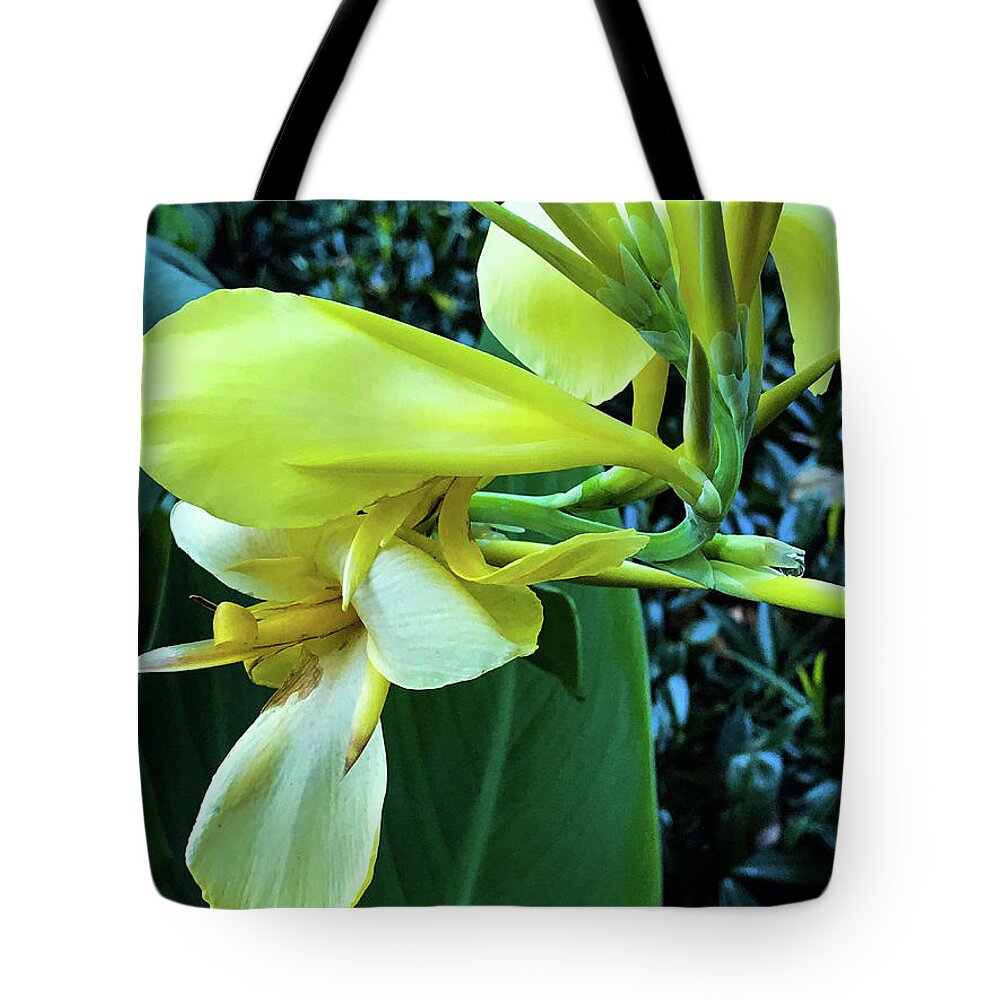 Flatiron Building Tote Bag featuring the photograph In Character by Joseph Yarbrough