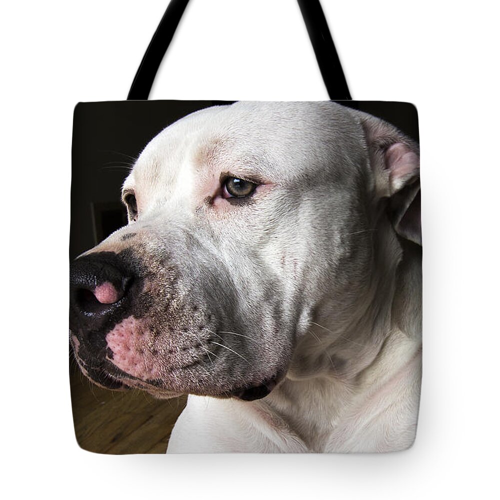 Kane Tote Bag featuring the photograph In deep thought by Tyler Adams