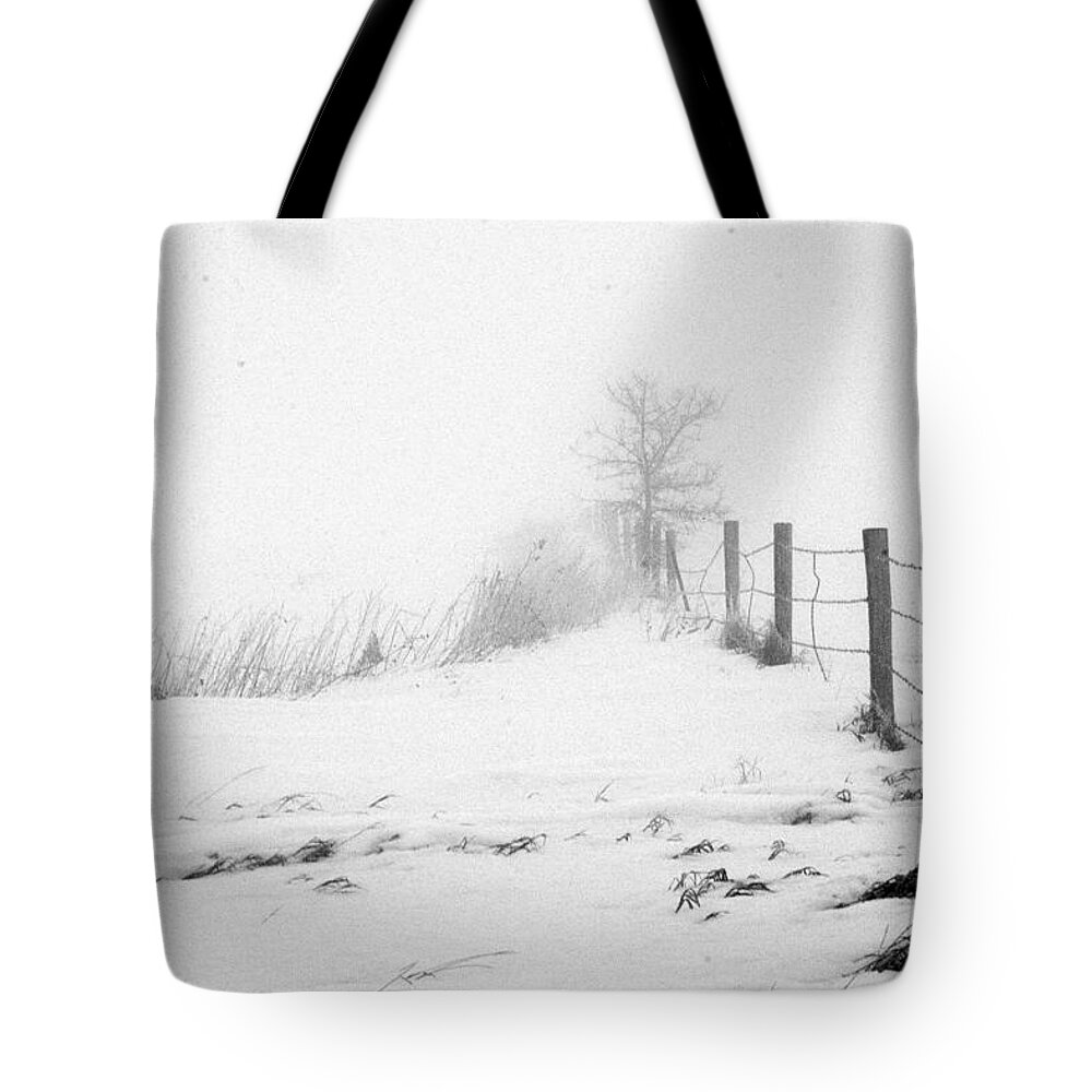Landscape Tote Bag featuring the photograph In Defense of Snow by Julie Lueders 