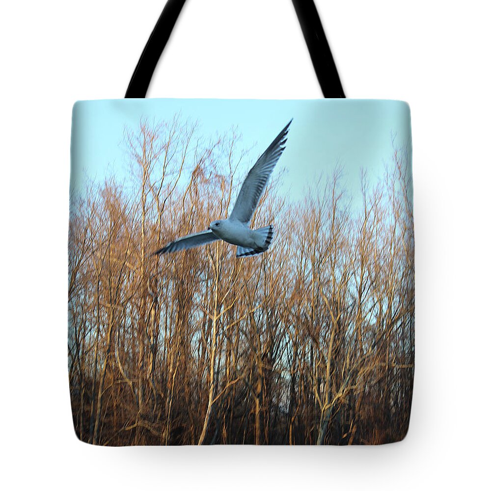 Pigeons Tote Bag featuring the photograph In Flight by Melinda Blackman