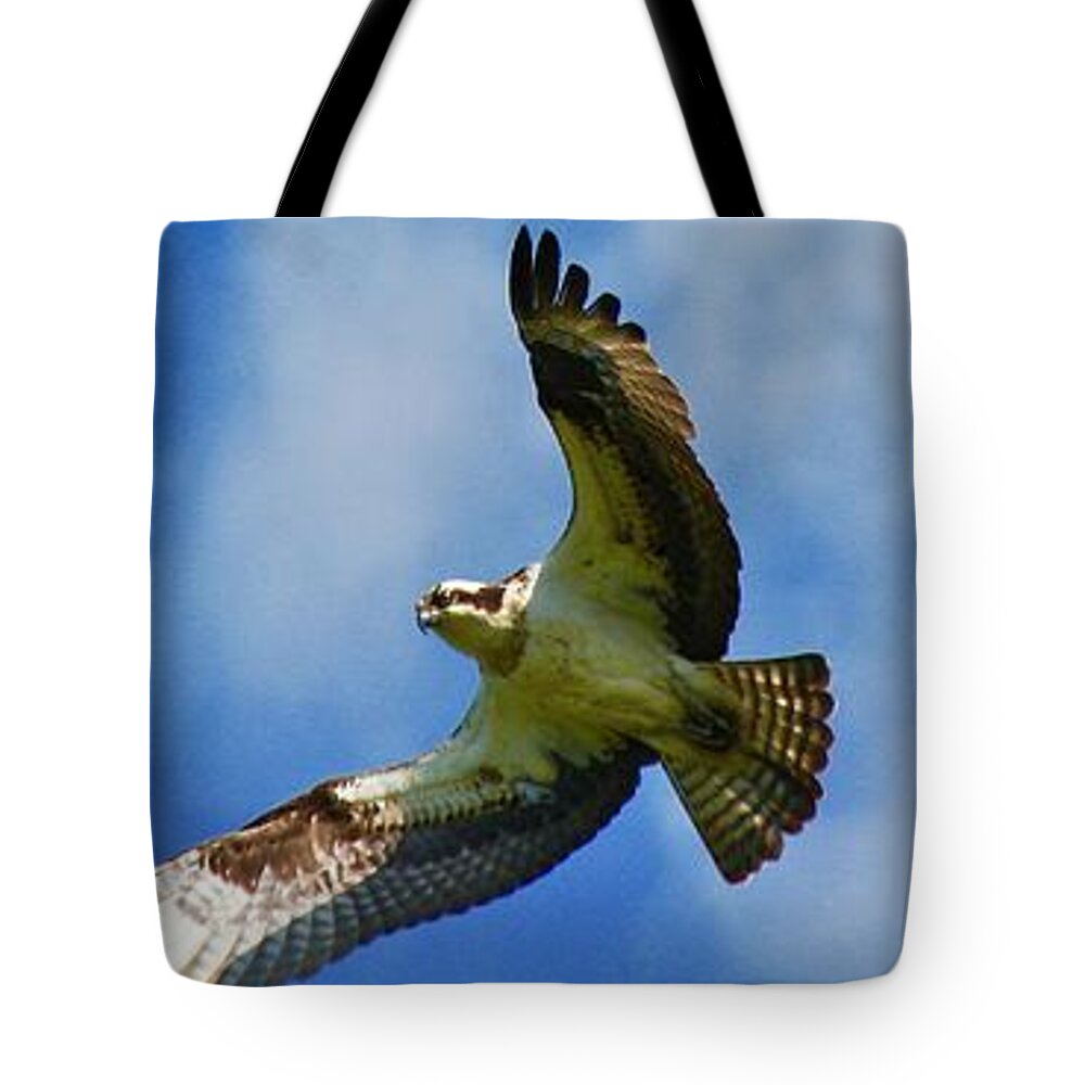 Bird Tote Bag featuring the photograph In his sites by Shawn M Greener