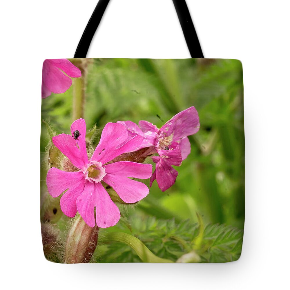 Meadows Tote Bag featuring the photograph In meadows II by Elena Perelman