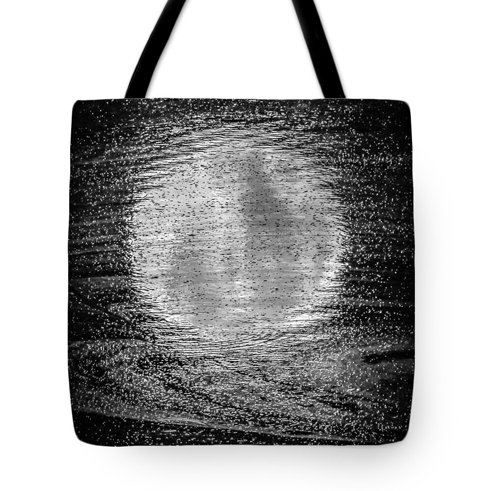 Moon Tote Bag featuring the photograph In Moonlight B W by Pamela Newcomb