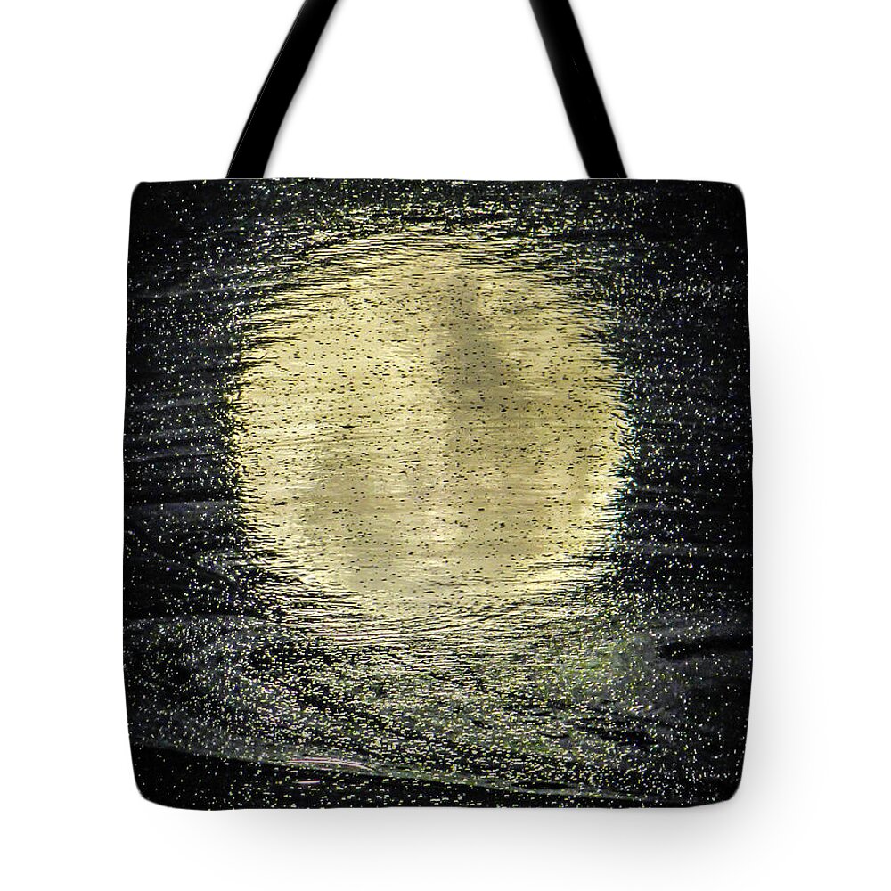 Moon Tote Bag featuring the photograph In Moonlight by Pamela Newcomb