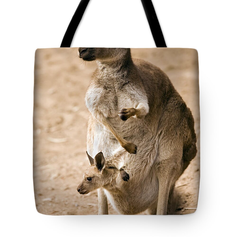 Kangaroo Tote Bag featuring the photograph In Mother's Care by Michael Dawson