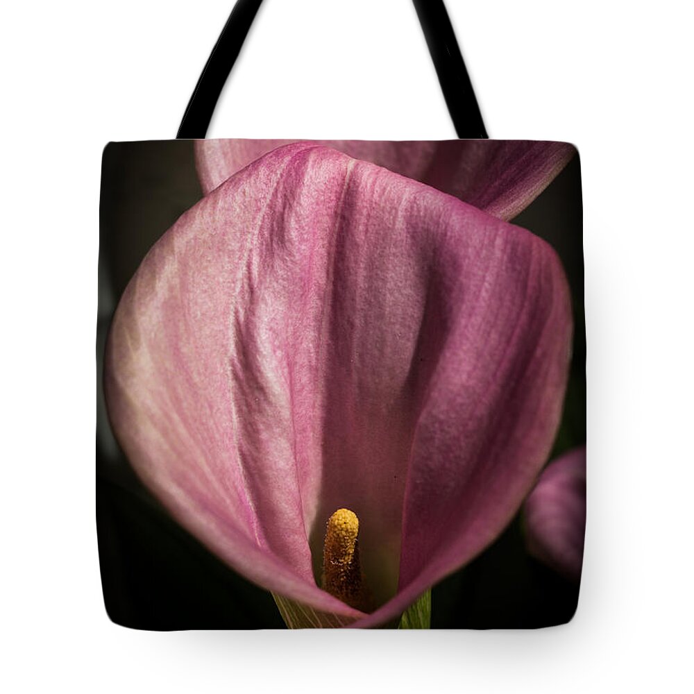 Calla Lily Tote Bag featuring the photograph In My Shadow by Kathleen Scanlan
