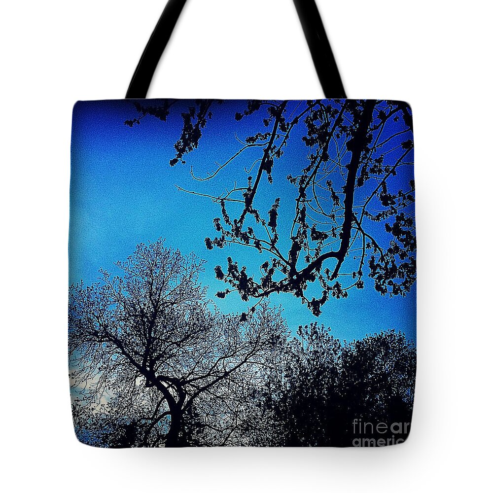 Midwest Tote Bag featuring the photograph It Never Withers by Frank J Casella