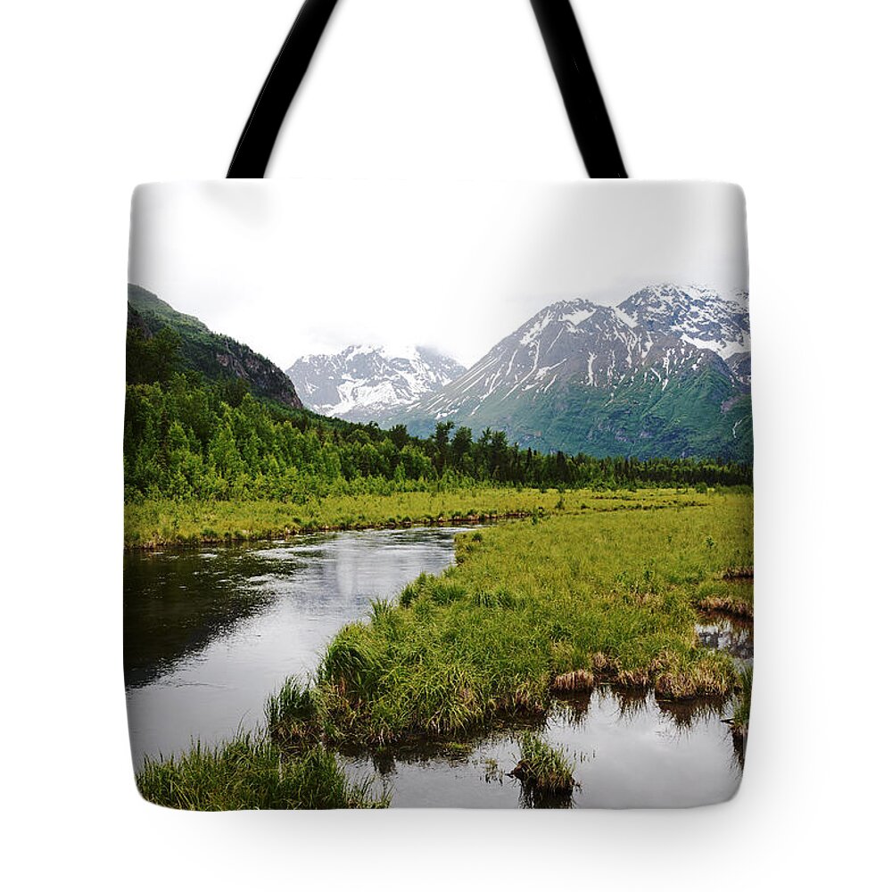 Alaska Tote Bag featuring the photograph In Road To Denali by Lorenzo Cassina
