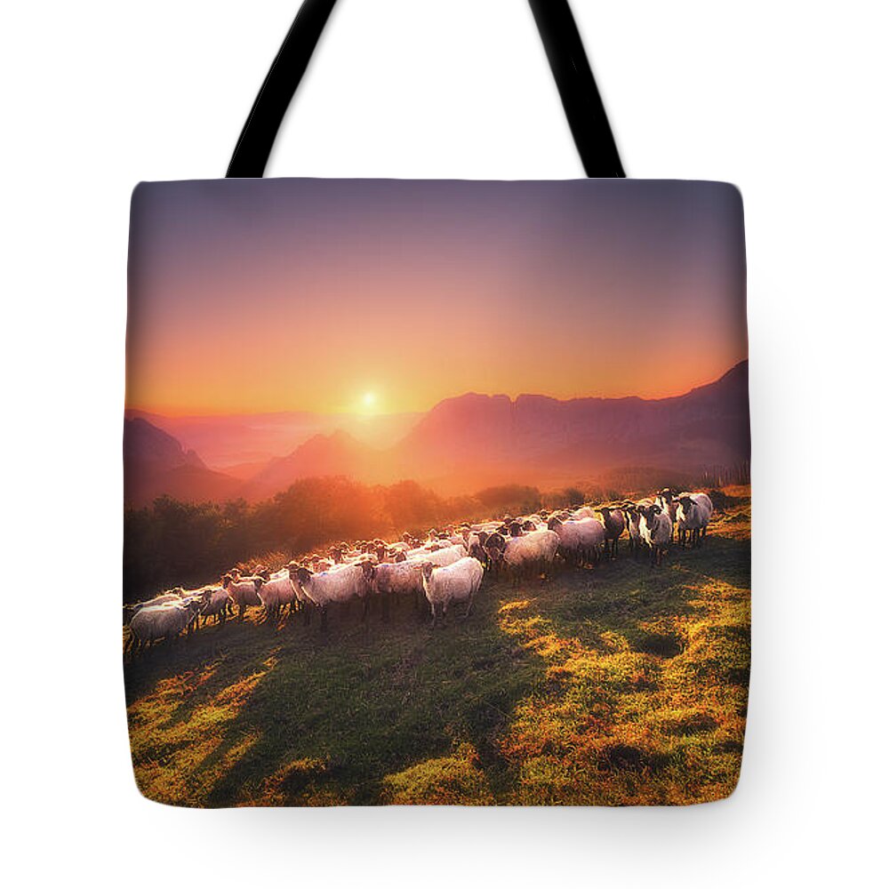 Sheep Tote Bag featuring the photograph In Saibi with companionsheep by Mikel Martinez de Osaba