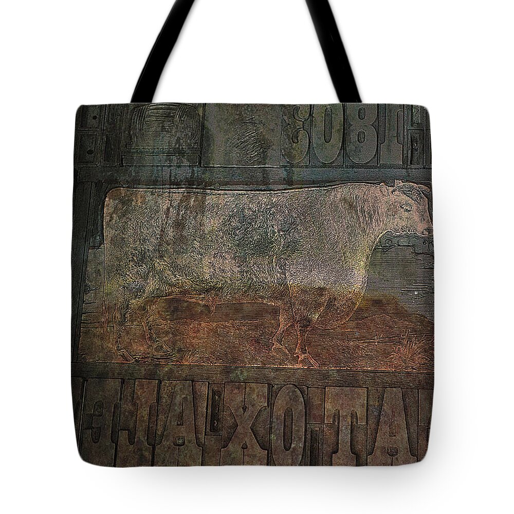 Cow Tote Bag featuring the photograph In Search of the Story by Char Szabo-Perricelli