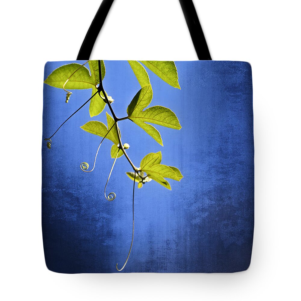 Leaves Tote Bag featuring the photograph In The Blue by Carolyn Marshall