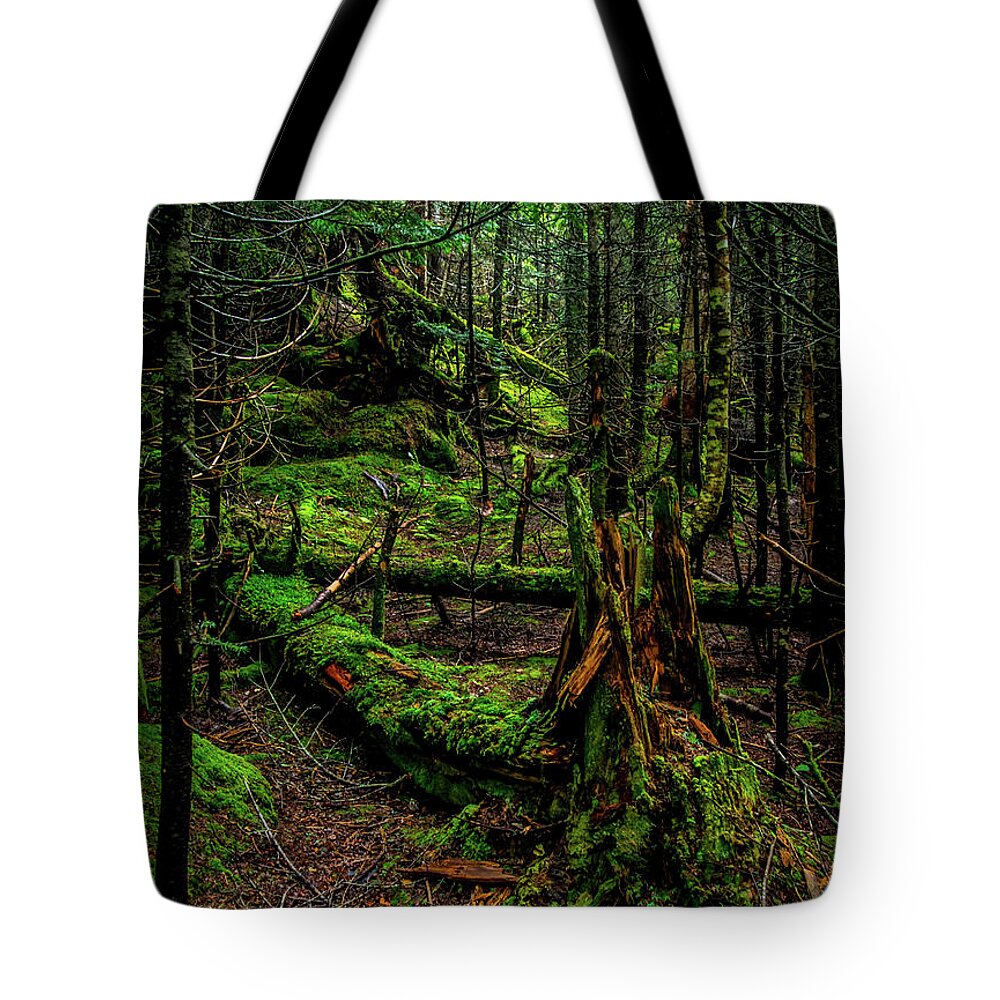 Forest Tote Bag featuring the photograph In the Deep Woods by James Aiken