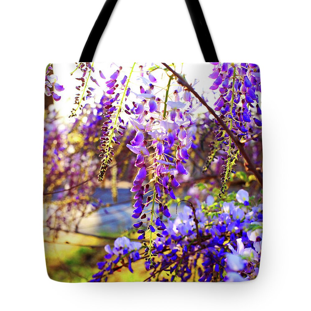 Flowers Tote Bag featuring the photograph In the evening by Toni Hopper