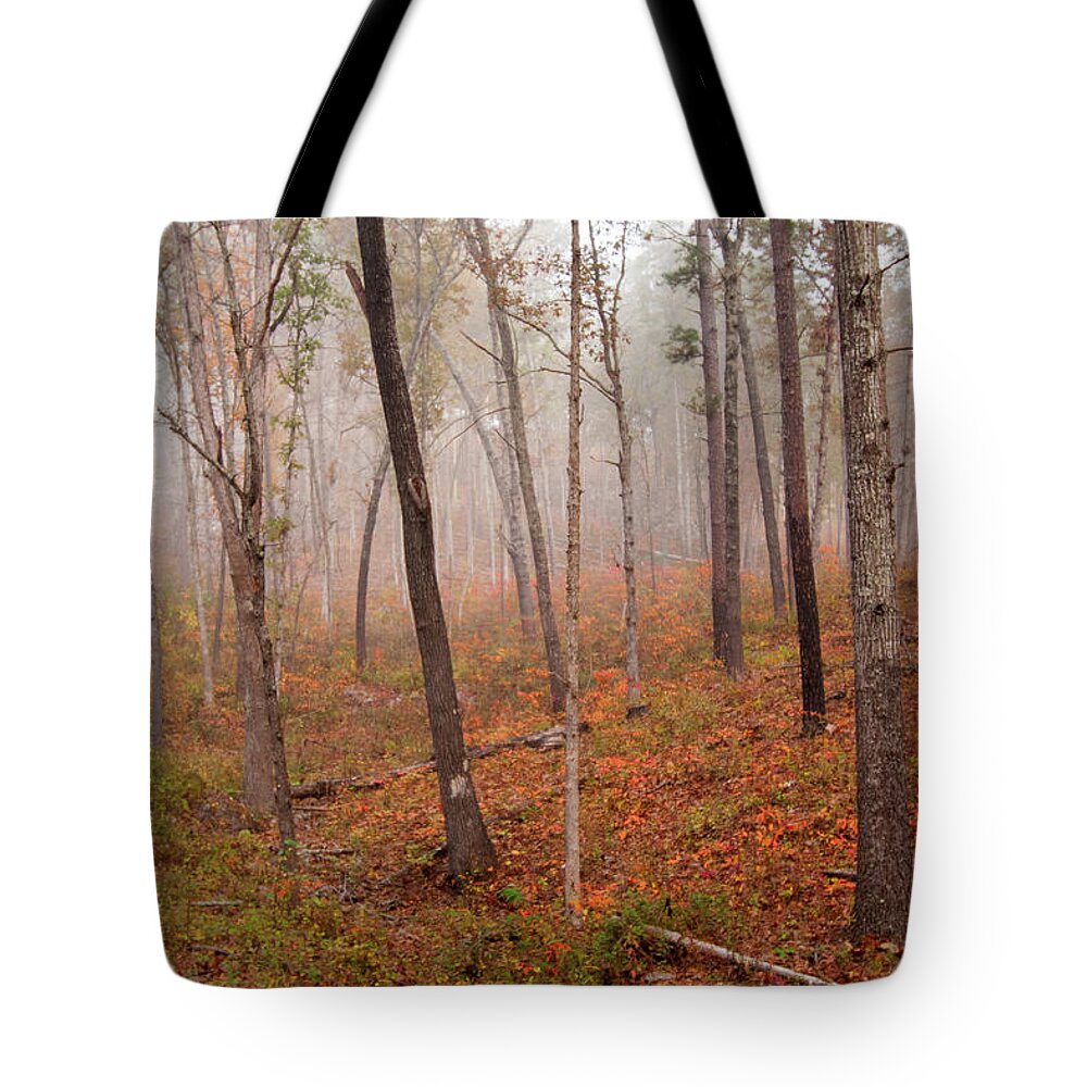 Missouri Tote Bag featuring the photograph In the Fog by Steve Stuller