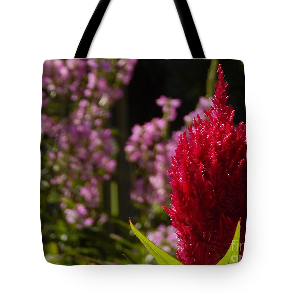 Outdoors Tote Bag featuring the photograph In the Garden by Chris Tarpening