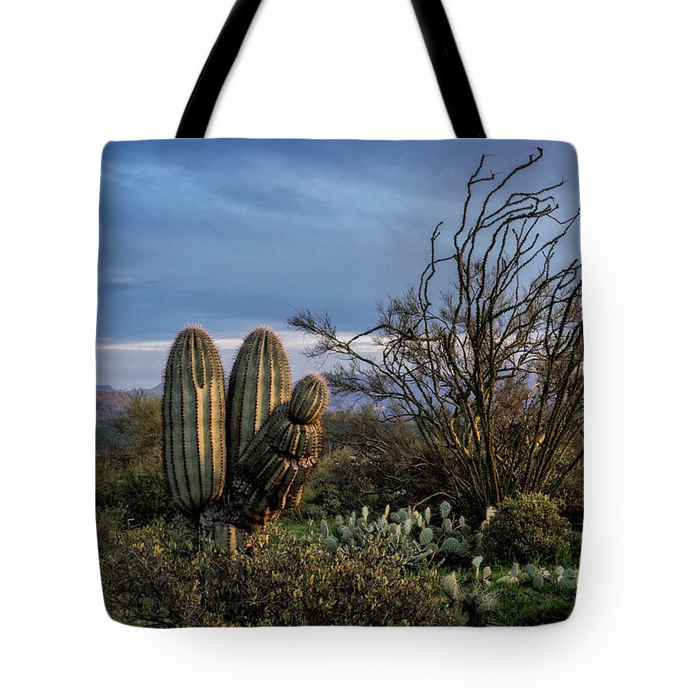 Arizona Tote Bag featuring the photograph In The Green Desert by Saija Lehtonen