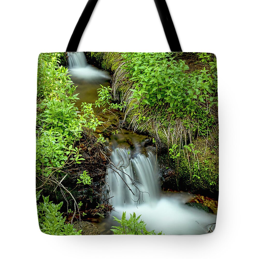 Green Tote Bag featuring the photograph In The Green Refreshing Wilderness by James BO Insogna