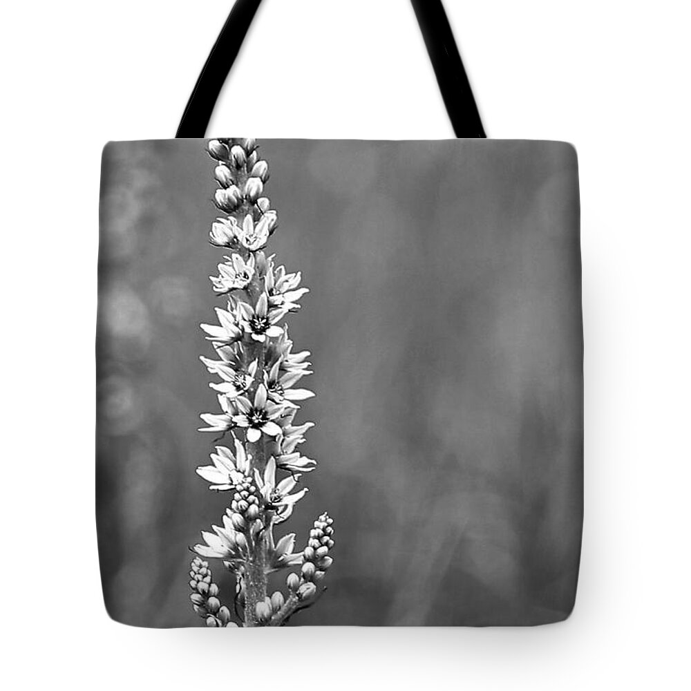 Flower Tote Bag featuring the photograph In The Meadow by Sheila Ping