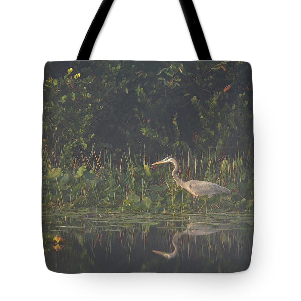 Marsh Tote Bag featuring the photograph In The Mist by Lorenzo Cassina