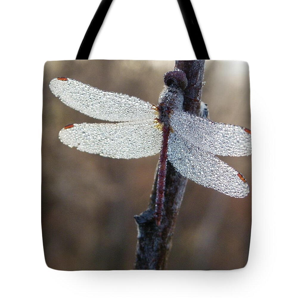 Insects Tote Bag featuring the photograph In The Morning Light by Peggy King