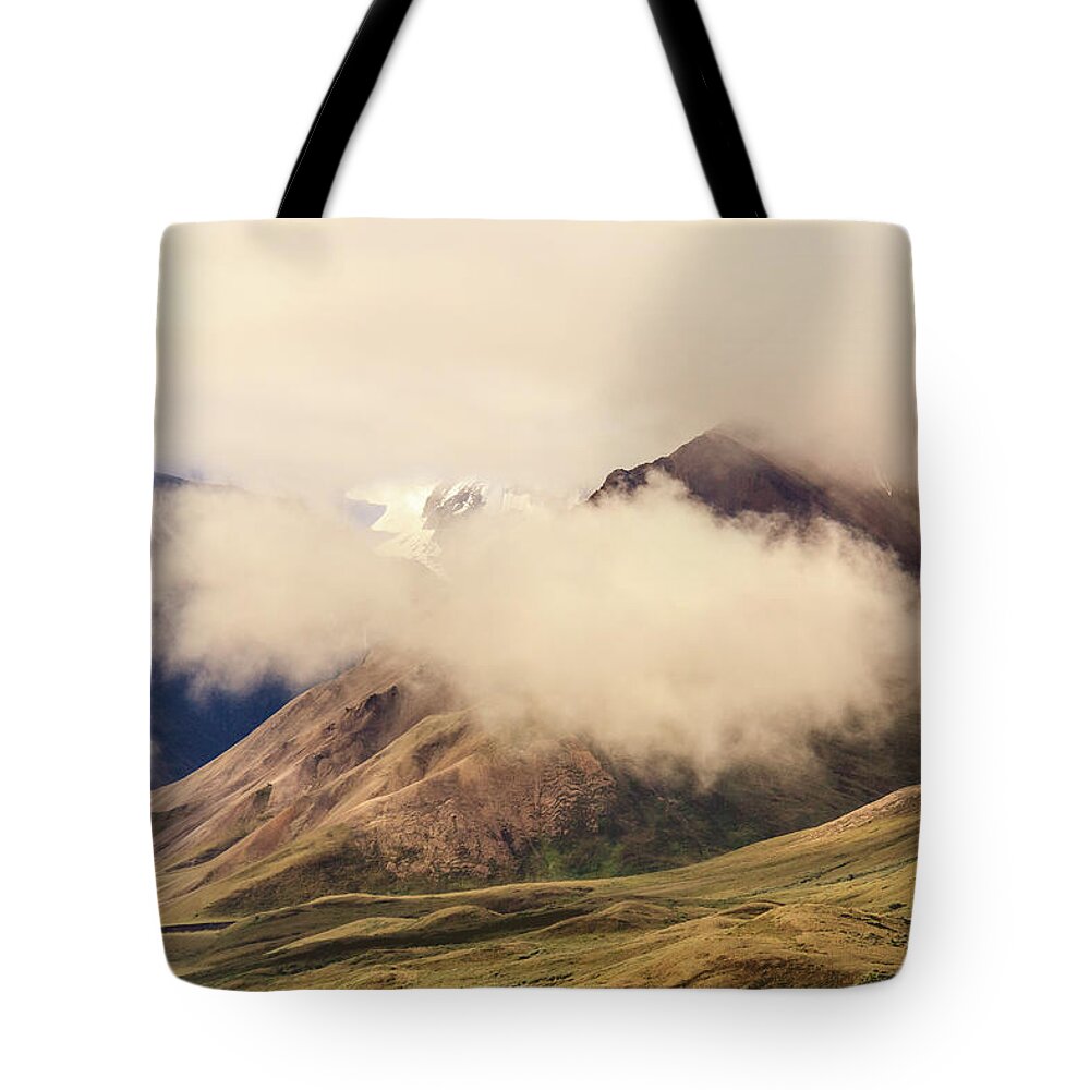 Alaska Tote Bag featuring the photograph In the Mountains of Denali by Joni Eskridge