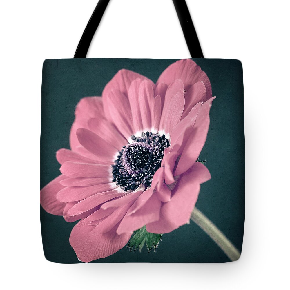 Anemone Tote Bag featuring the photograph In The Pink by Caitlyn Grasso
