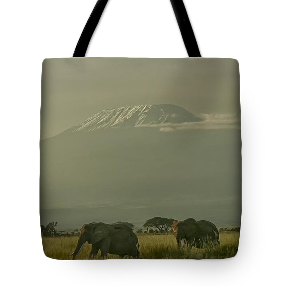 Gary Hall Tote Bag featuring the photograph In the Shadow of Kilimanjero by Gary Hall