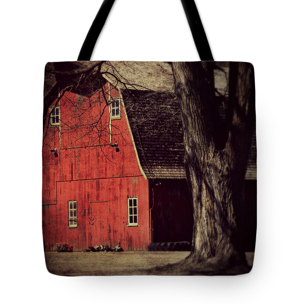 Barn Tote Bag featuring the photograph In the spotlight by Julie Hamilton
