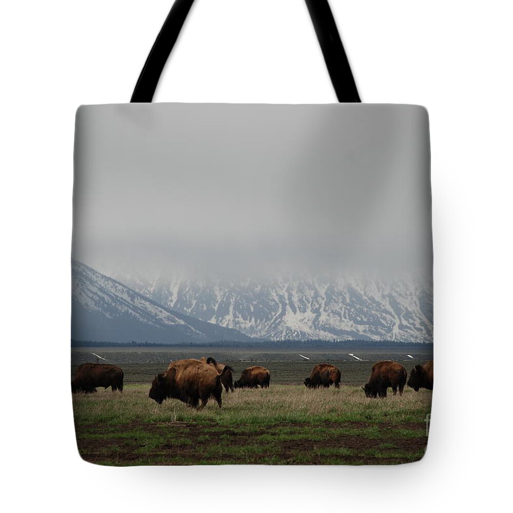 Bison Tote Bag featuring the photograph in the Tetons by Jim Goodman