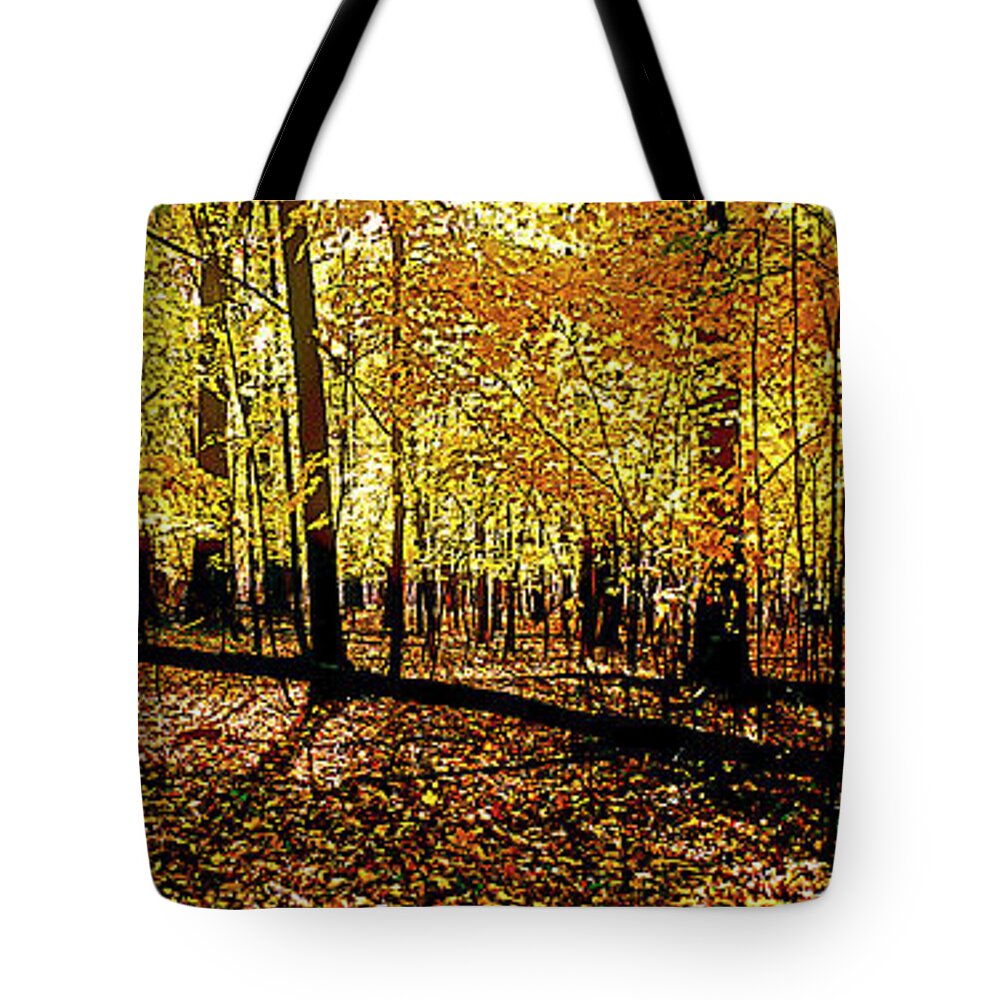 Woods Tote Bag featuring the photograph In The The Woods, Fall by Tom Jelen