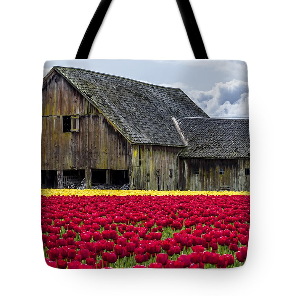 Abundance Tote Bag featuring the photograph In the Tulip Field by Teri Virbickis
